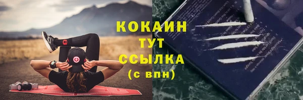 крисы Армянск