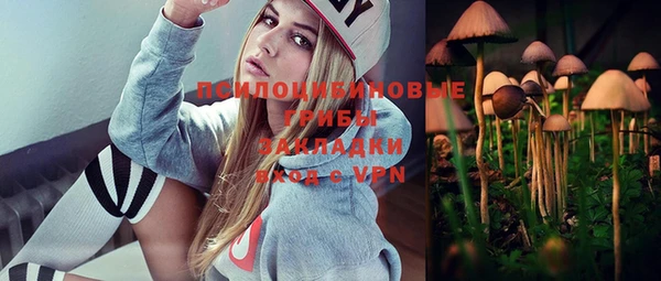 стафф Арсеньев
