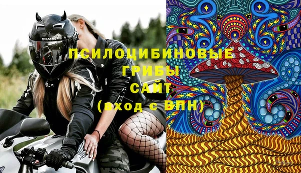 крисы Армянск