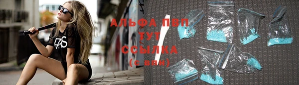 крисы Армянск