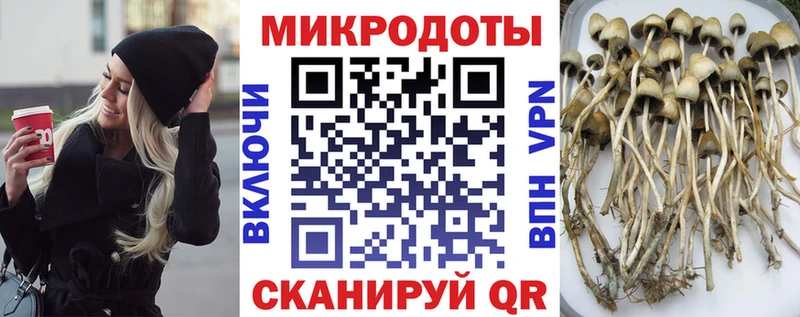 продажа наркотиков  Нурлат  Галлюциногенные грибы прущие грибы 